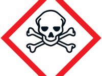 Réintroduction de pesticides interdits : plus de 1.000 médecins et scientifiques dénoncent la proposition de loi Duplomb