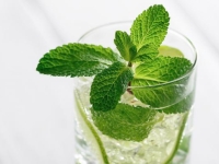 Un sirop de menthe 100% fraîcheur - Info-chalon.com vous donne la recette 