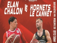 BASKET FAUTEUIL - Demi-finale play-off - L'Elan Chalon reçoit ce samedi les Hornets du Cannet 