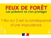 FEUX DE FORET - Un appel à la vigilance citoyenne renforcée  