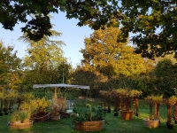 FOIRE AUX PLANTES DE LA FERTE - Un dimanche ensoleillé vous attend ! 