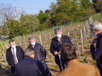 REGIONALES - Gilles Platret s'est rendu dans les vignes à Prissé