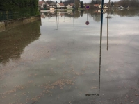 Sortez les palmes au Pont Paron à Saint Rémy ! 