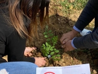 REGIONALES -  Les candidats du Rassemblement National ont planté des arbres contre les éoliennes