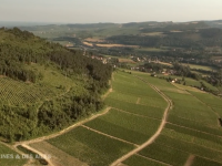 Les Terres de Bourgogne à l'honneur ce mercredi soir dans Des Racines et Des Ailes 