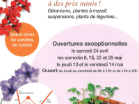 Fleurissez vous la vie à des prix minis avec les Jardins de Virey et l'Association Médico Educative Chalonnaise 