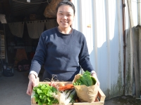 Les Paniers Bio d'Ouroux reprennent les ventes de légumes 