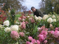 Malgré le COVID, les 17è Journées des Plantes & Arts du Jardin du Château de la Ferté se tiendront bien ce week-end