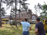 VIOLENT COUP DE VENT - Des arbres couchés et des dégâts  sur Mercurey 