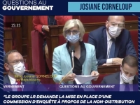 Josiane Corneloup, députée de Saône et Loire, demande une commission d'enquête parlementaire sur le fiasco de la distribution du matériel électoral 