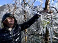 GEL DE PRINTEMPS - Tour d'horizon européen en images 