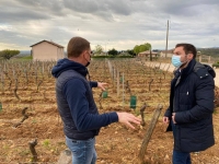 REGIONALES - Julien Odoul en Saône-et-Loire pour soutenir les viticulteurs