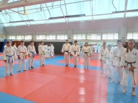 Arbitrage et Tests Matchs au Judo Club Chalonnais
