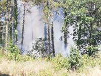 Nouveau feu de forêt sur les hauteurs de Mercurey
