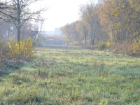 Le premier parc photovoltaïque du Grand Chalon est sur les rails