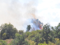 Plusieurs départs de feu sur les hauteurs de Mercurey et Saint Martin sous Montaigu