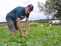 Et si vous vous laissiez tenter par les légumes produits par  Théo ? 