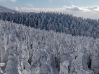 EN IMAGES - Connaissez-vous les monstres de glace de la montagne Zao ? 