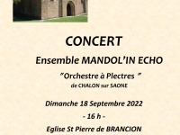 Concert de l'orchestre à plectres de Chalon Sur Saône 