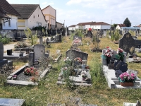 "Cimetiere abandonné ? Non, il s agit bien du cimetière de l'ouest avenue Boucicaut" s'étonne un fidèle d'info-chalon.com 