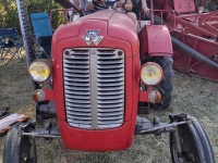 Un Massey Ferguson 821 Diesel qui se transmet de génération en génération chez les Burtin/Galland