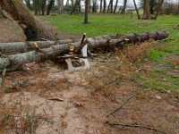 De nombreux dégâts suite aux vents violents sur la Saône et Loire 