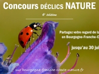  La 6ème édition du concours photo "Déclics nature", c'est jusqu'au 30 juin