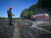 27 hectares détruits par les flammes à Donzy dans la Nièvre 