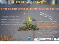 Granges organise une balade urbaine afin de partir à la découverte de la biodiversité des rues