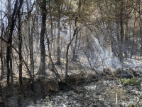 Incendies dans le Jura : plus de 300 hectares détruits, le feu fixé en partie