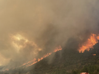 Feux au Lac de Vouglans dans le Jura : les habitants de Menouille évacués, le feu "au pied des maisons"