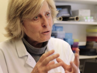 L'immunologue Brigitte Autran présidera le nouveau Conseil scientifique