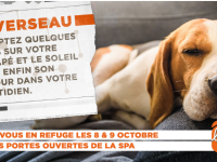 1500 adoptions "responsables" enregistrées par la SPA