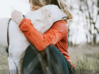 Savez-vous que les chiens sont des détecteurs de déprime ? 