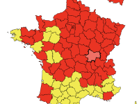 Attention, les pollens de bouleau débarquent en Saône et Loire 