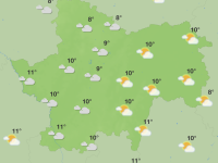 FOIRE AUX PLANTES LA FERTE 2023 - Météo France prévoit une accalmie ce dimanche .. C'est le moment ! 