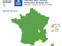 Connaissez-vous la météo des forêts ? 