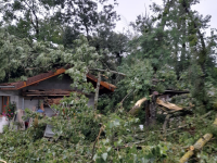 En Haute-Savoie, les vents ont atteint les 130 km/h ce jeudi soir