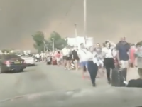 30 000 touristes évacués de Rhodes après de violents incendies