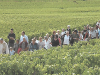 Le 15 août, Mercurey vous invite à la procession 