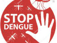 MOUSTIQUE TIGRE - Suite à un cas de dengue en Saône et Loire, une opération de démoustication menée 