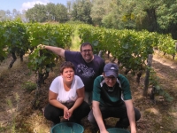 Journée vendanges pour les résidents du foyer Arcadie 