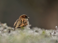 Le clin d'oeil photographique du jour sur info-chalon.com 