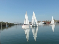 Deux jeunes du Yacht Club trustent les deux premières places lors de la régate d’ouverture