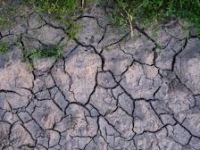 Haute-Corse : "Il n'y aura plus d'eau dans 25 jours", alerte la préfecture