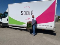 MUGUET - La SODIF à Châtenoy en Bresse lance un appel aux cueilleurs avec des prix revalorisés 