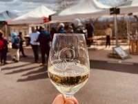 MARATHON DES VINS 2023 - Montagny les Buxy a mobilisé tout le monde 