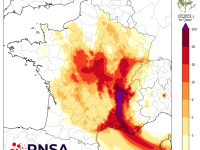 ALLERGIES - La Saône et Loire placée en rouge face à l'ambroisie