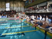 Venez nombreux cette après-midi encourager nos nageuses et nageurs chalonnais lors des finales des Championnats Régionaux Bourgogne/Franche-Comté 