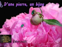 Atelier Bijou Créatif : Personnalisés ou naturels, portez des bijoux uniques !